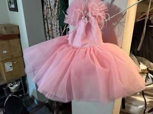Baby Girl Light Pink Tutu Princess Dress with Feather Straps and Matching Headba